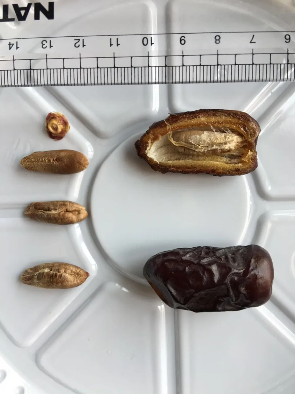 Safawi Madinah Dates — Grade A, AA & AAA