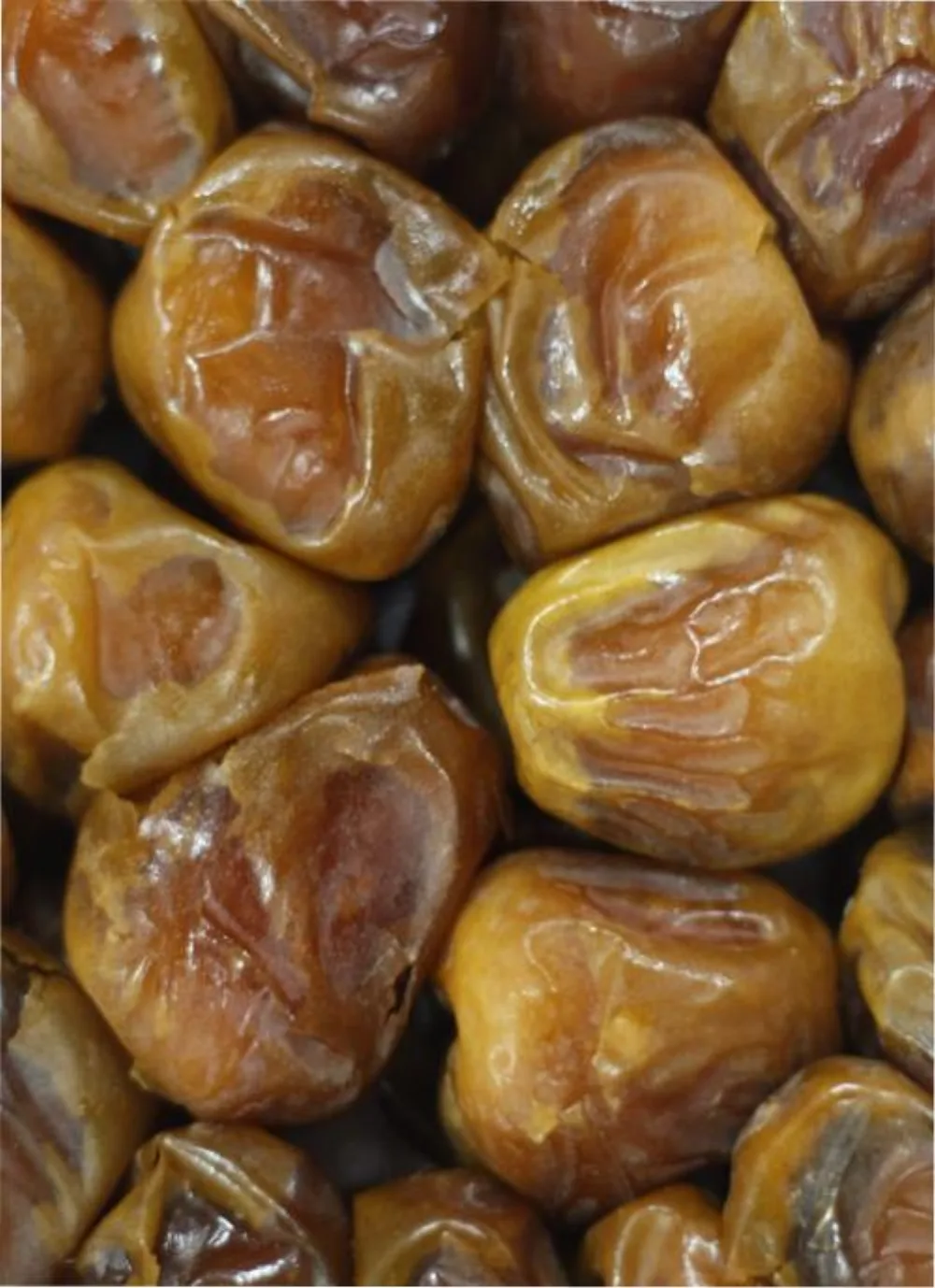 Sukari Premium Dates — Madinah & Egypt (Honey Dates)